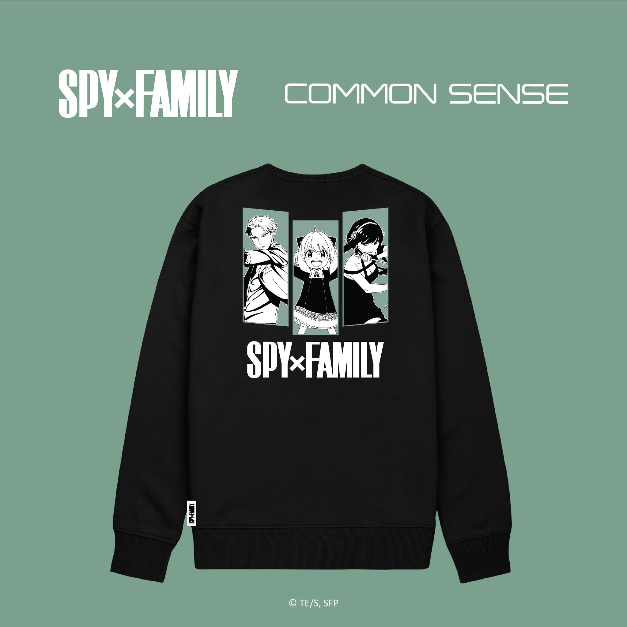 【malaysia】spyxfamily X Common Sense (10)